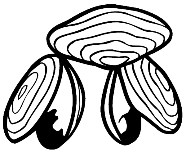 Clam shells vinyl sticker. Customize on line. Food Meals Drinks 040-0496